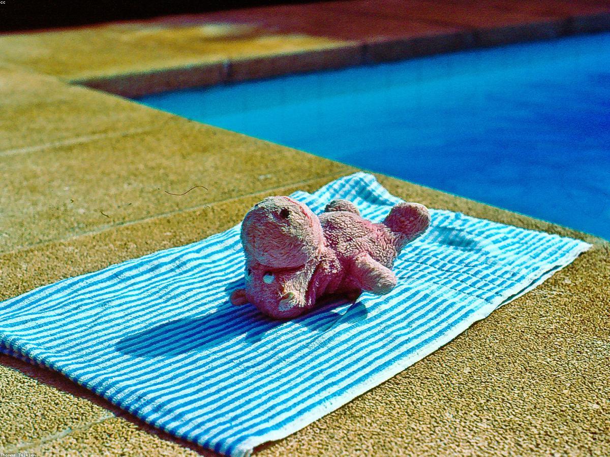 Villa infinity pool